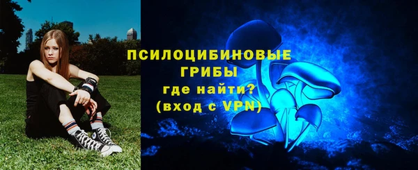 Альфа ПВП Армянск