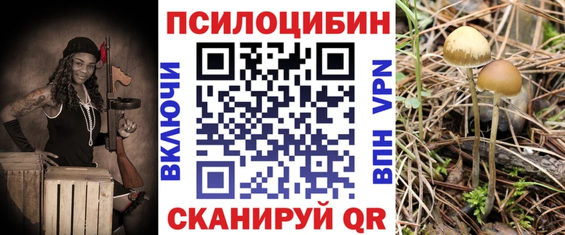 Галлюциногенные грибы Magic Shrooms Купить где Карачаевск